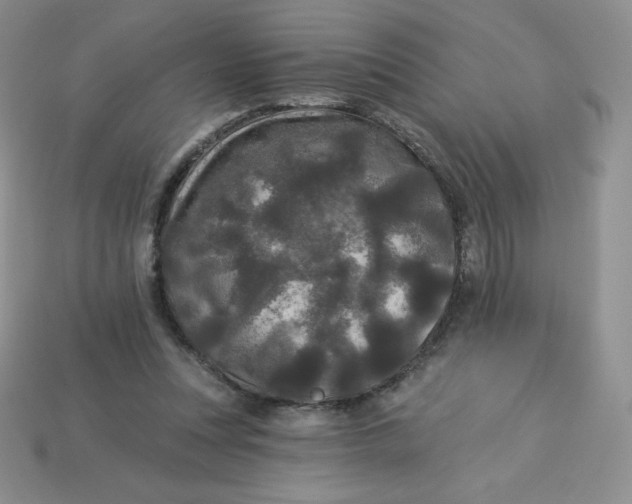 X0000113920351200910151444