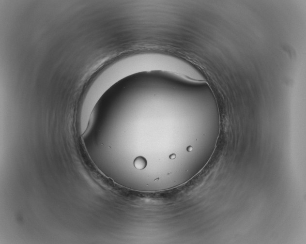 X0000113920352200910151444