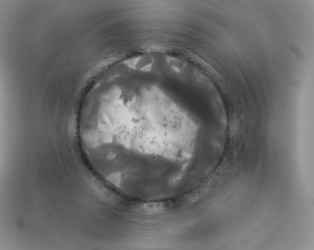 X0000113920353200910151444