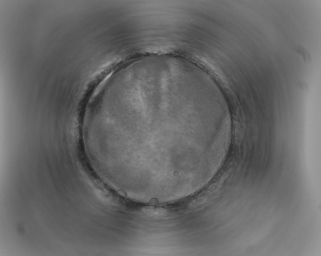 X0000113920354200910151444