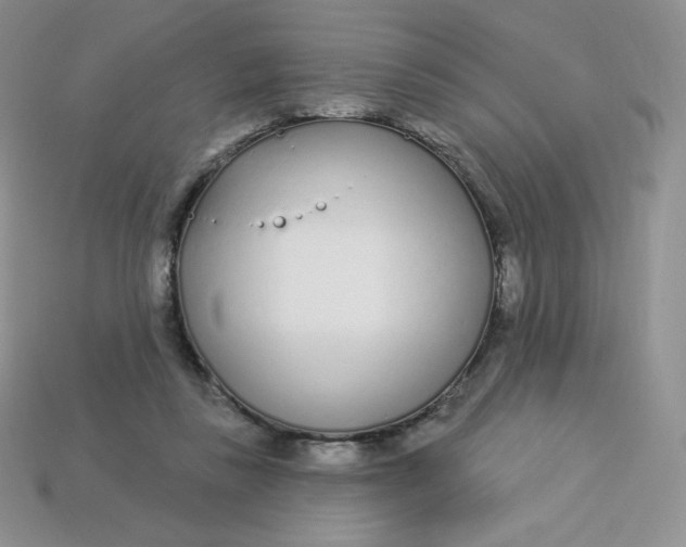 X0000113920355200910151444