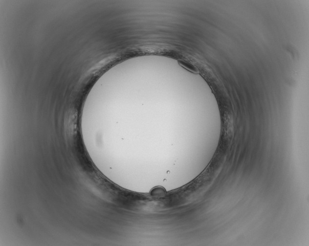 X0000113920356200910151444