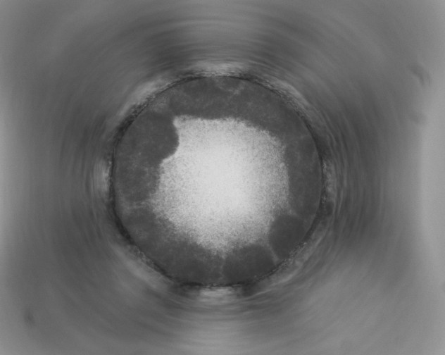 X0000113920357200910151444