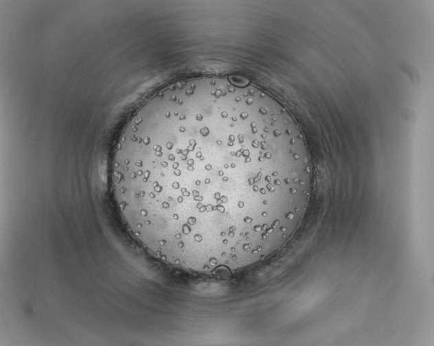 X0000113920358200910151444
