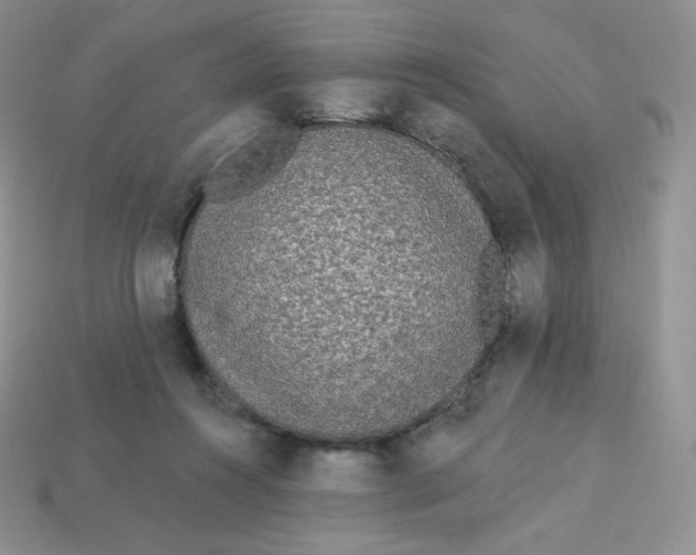 X0000113920360200910151444