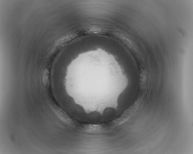 X0000113920361200910151444