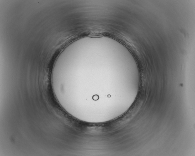 X0000113920362200910151444