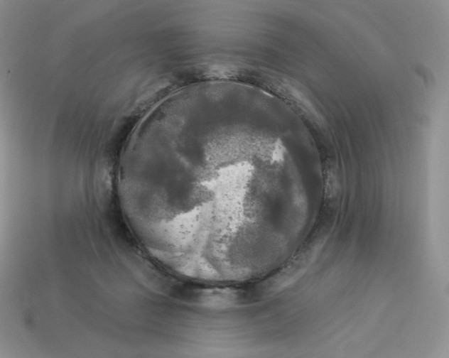 X0000113920363200910151444