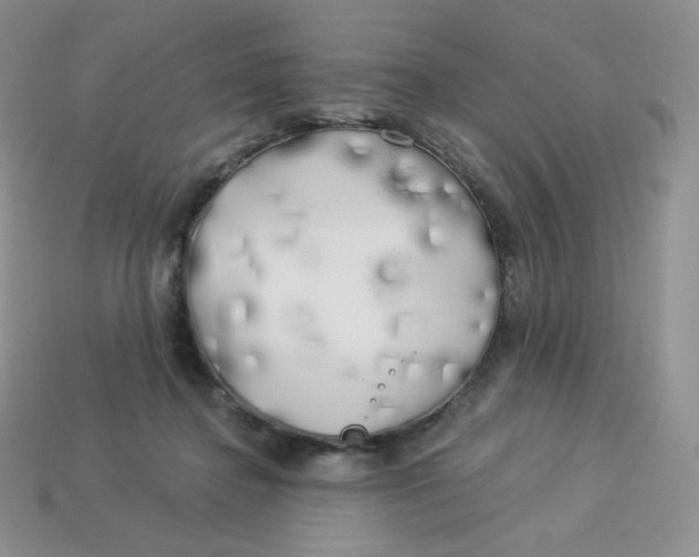 X0000113920364200910151444