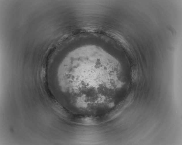X0000113920365200910151444