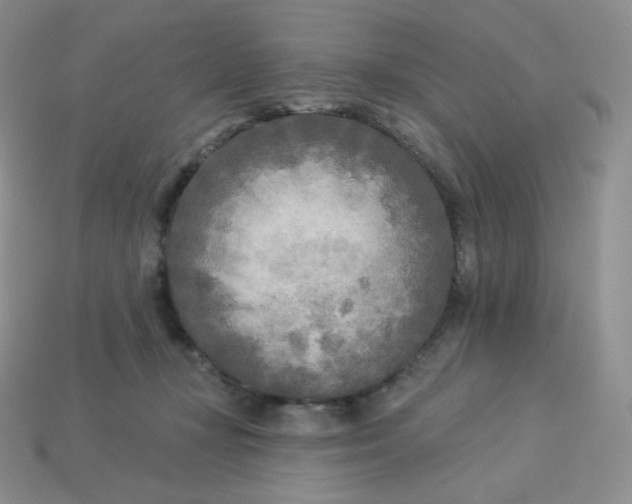 X0000113920367200910151444