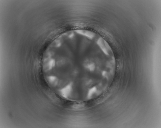 X0000113920369200910151444