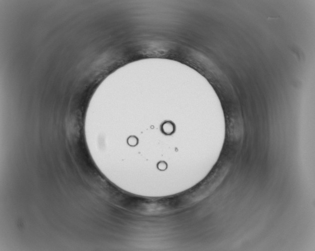 X0000113920370200910151444