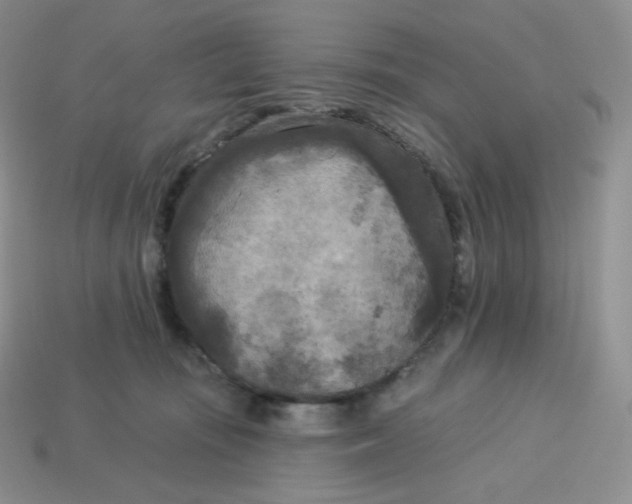 X0000113920371200910151444
