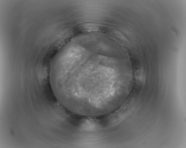 X0000113920372200910151444