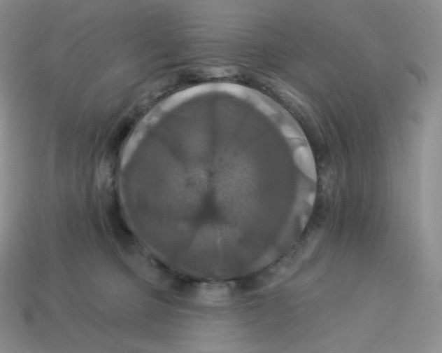X0000113920373200910151444