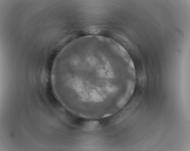 X0000113920374200910151444