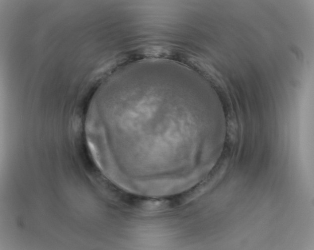 X0000113920375200910151444