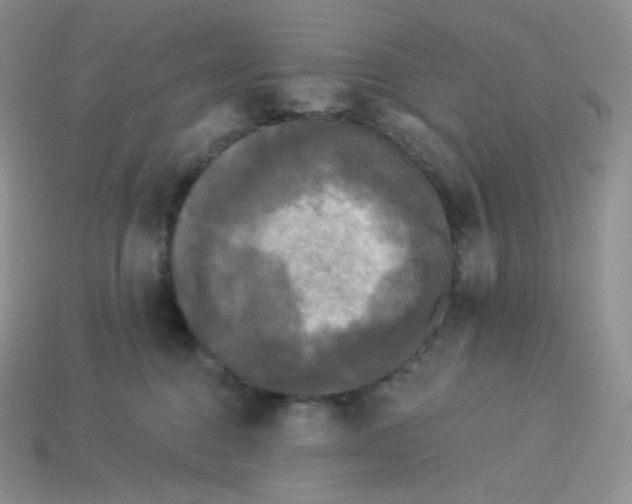 X0000113920376200910151444