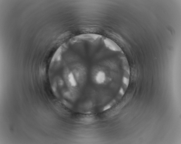 X0000113920377200910151444