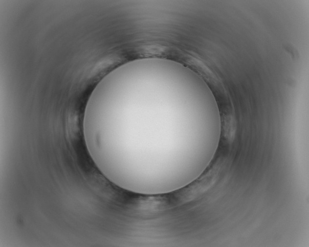 X0000113920378200910151444