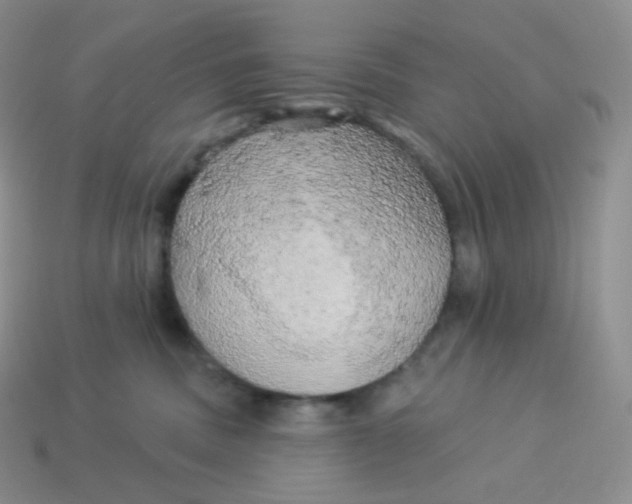 X0000113920379200910151445