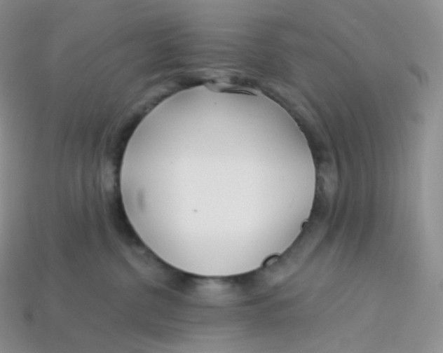 X0000113920380200910151445