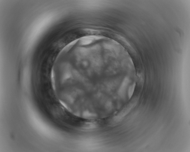 X0000113920381200910151445