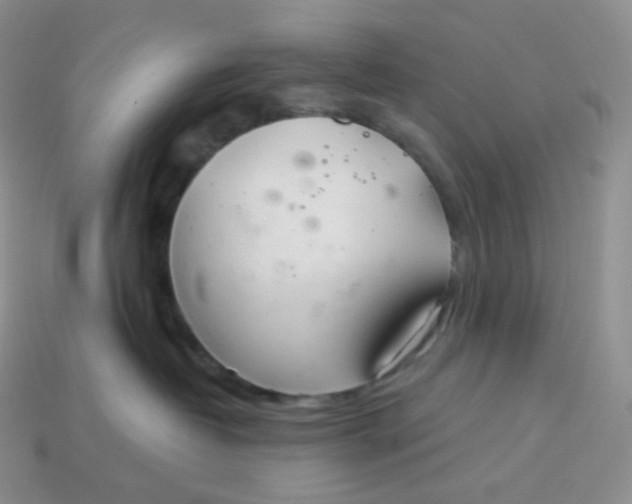 X0000113920382200910151445