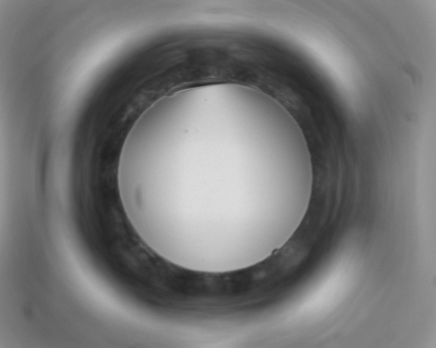 X0000113920383200910151445