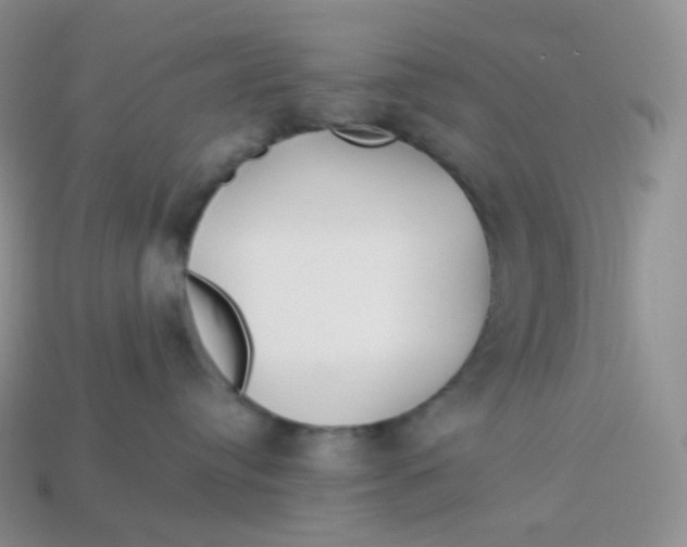 X0000113920384200910151445