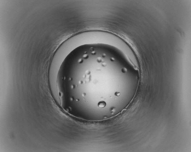 X0000113920385200910151444