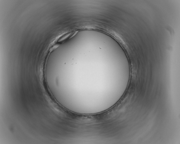 X0000113920386200910151444