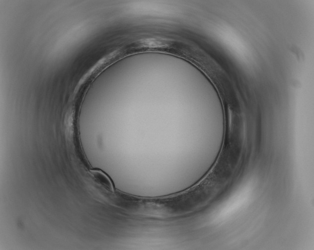 X0000113920387200910151444