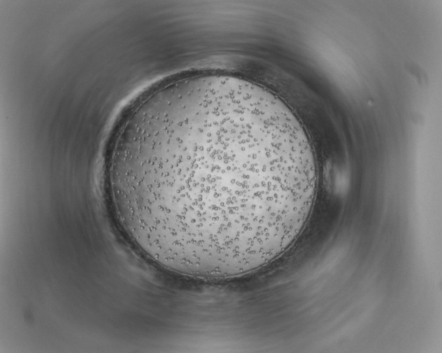 X0000113920388200910151444