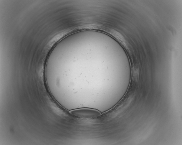 X0000113920389200910151444
