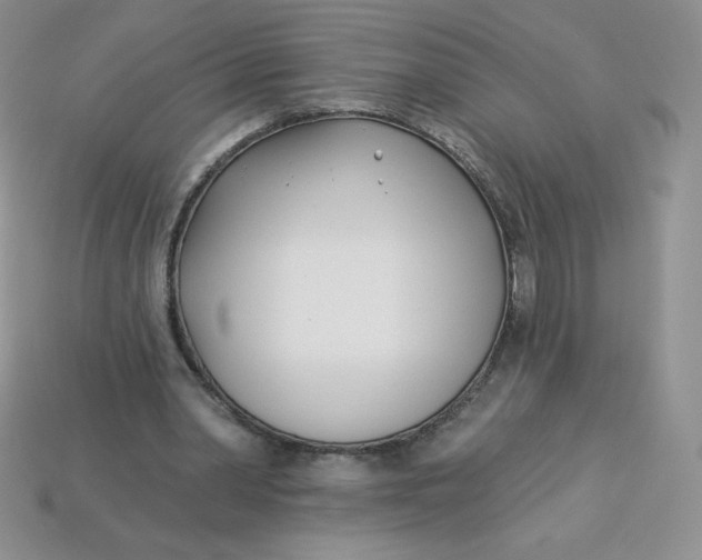 X0000113920390200910151444