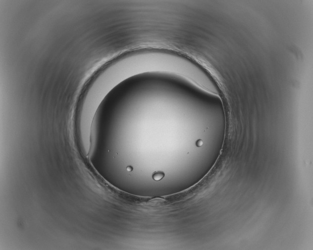 X0000113920391200910151444