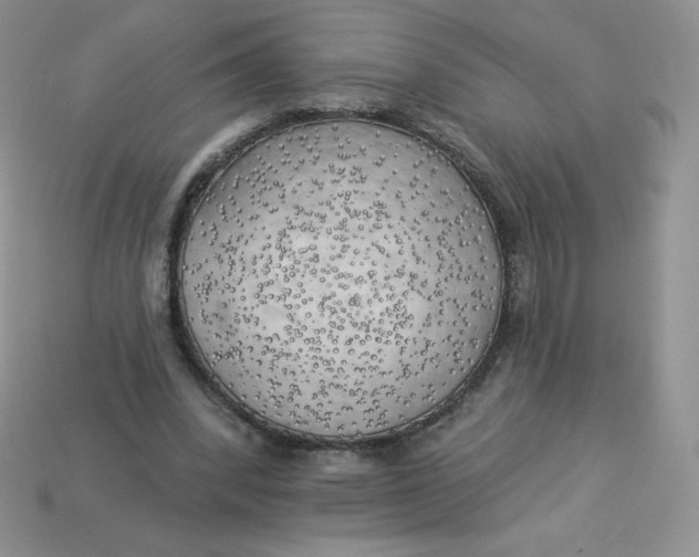 X0000113920392200910151444