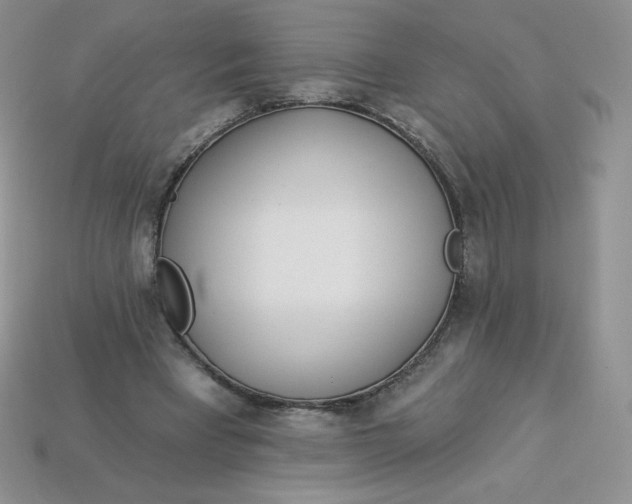 X0000113920393200910151444