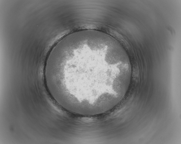 X0000113920394200910151444