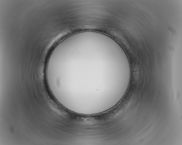 X0000113920395200910151444