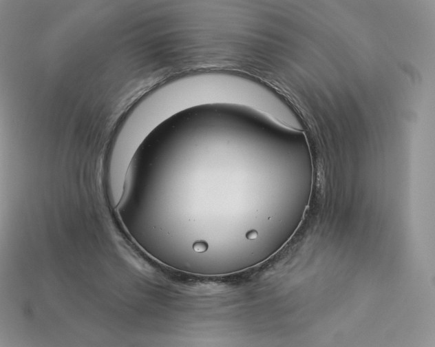 X0000113920397200910151444