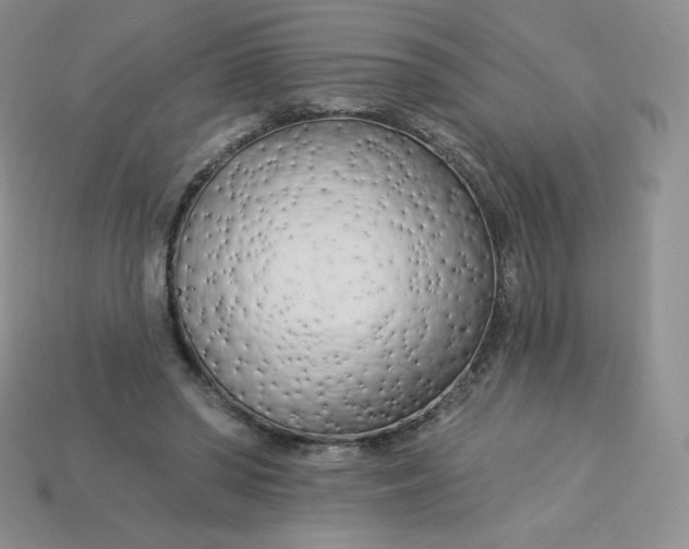 X0000113920398200910151444