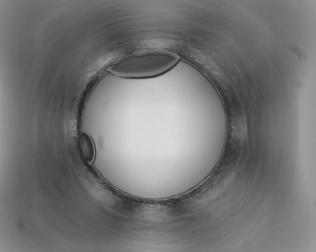 X0000113920399200910151444