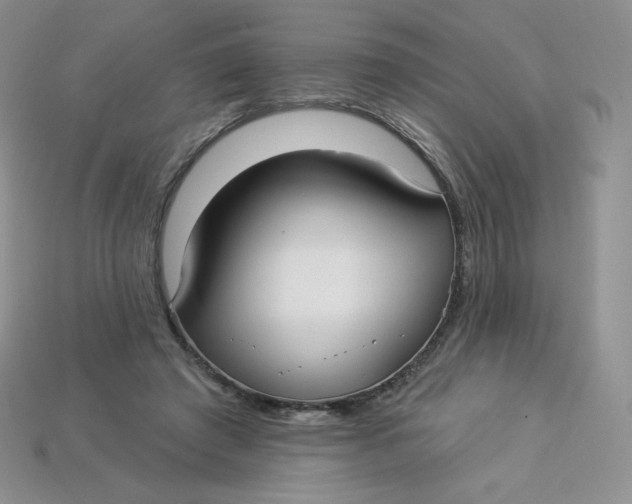 X0000113920401200910151444
