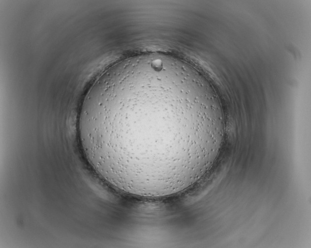 X0000113920402200910151444