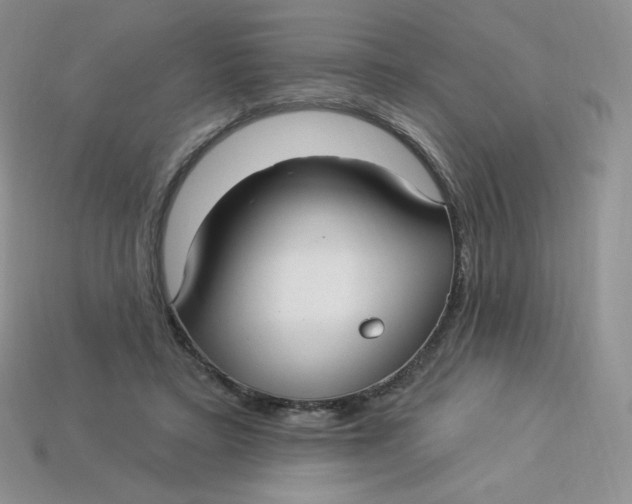 X0000113920403200910151444
