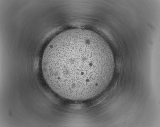 X0000113920404200910151444
