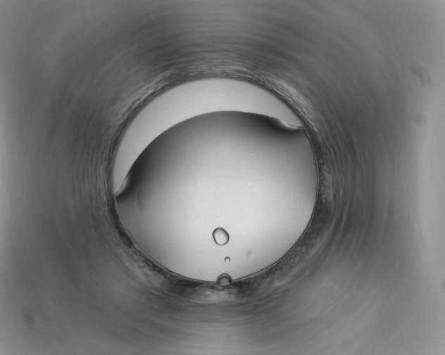 X0000113920405200910151444